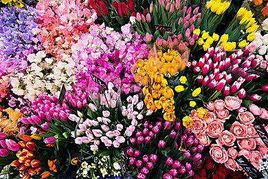 庆祝古惑狼25周年生日 动视推出5款游戏合集