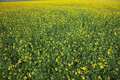 腾讯《三角洲行动》RTX实机视频 光追加持画面震撼